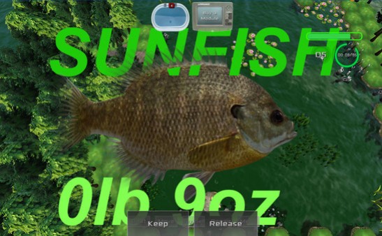 Fish or Die Fish or Die