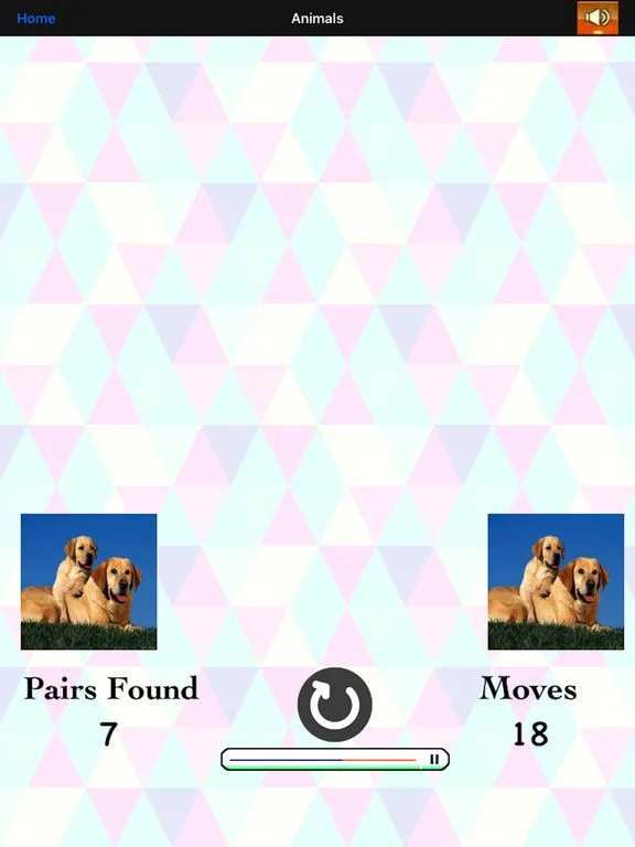 Match Card Pair: Premium! Match Card Pair: Premium!