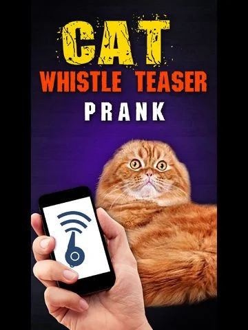 Cat Whistle Teaser Prank