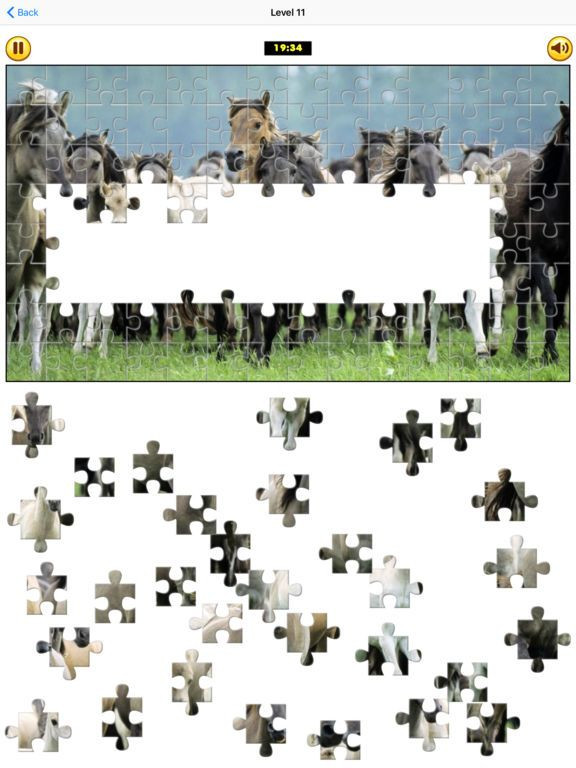 Puzzle Collection: Animals Puzzle Collection: Animals