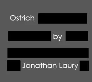 Ostrich Ostrich