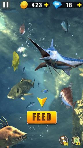 Wild Fishing Wild Fishing
