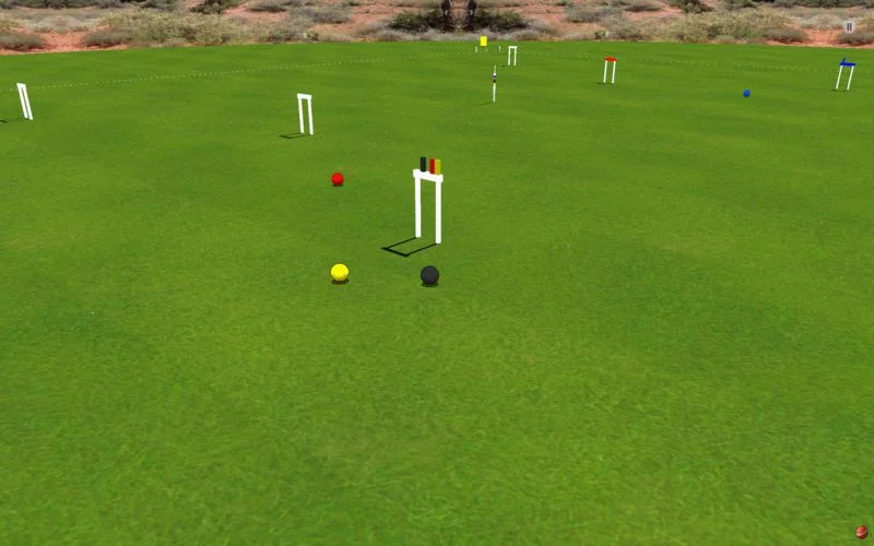 Croquet Pro 2:6 Wicket Edition Croquet Pro 2:6 Wicket Edition