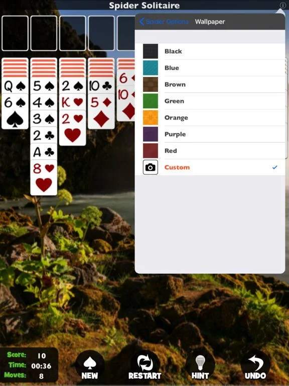 Spider Solitaire [Pokami]