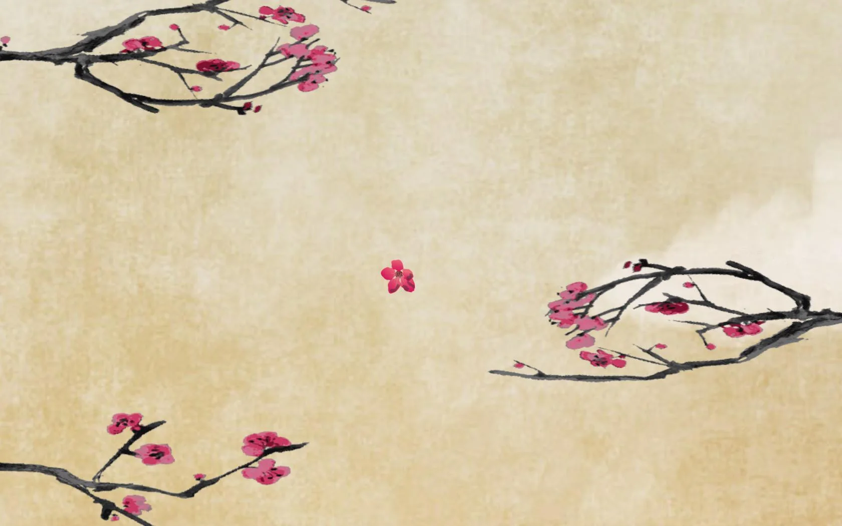 Cherry Blossom (itch) Cherry Blossom (itch)