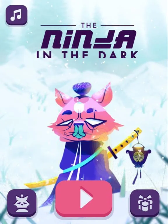 The Ninja In The Dark