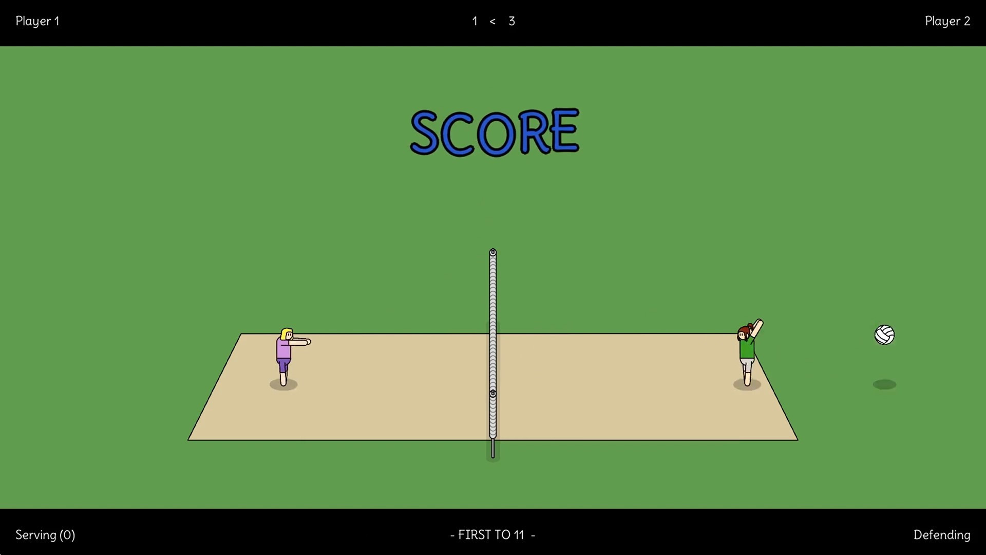 Actual Volleyball