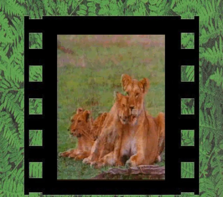 Статьи по Kids' Zoo