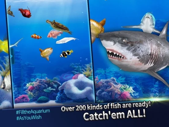 Fishing Rivals: Hook & Catch