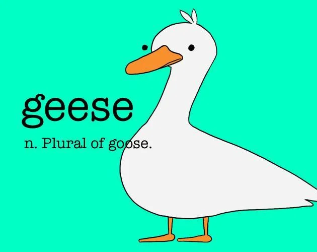 geese (itch) geese (itch)