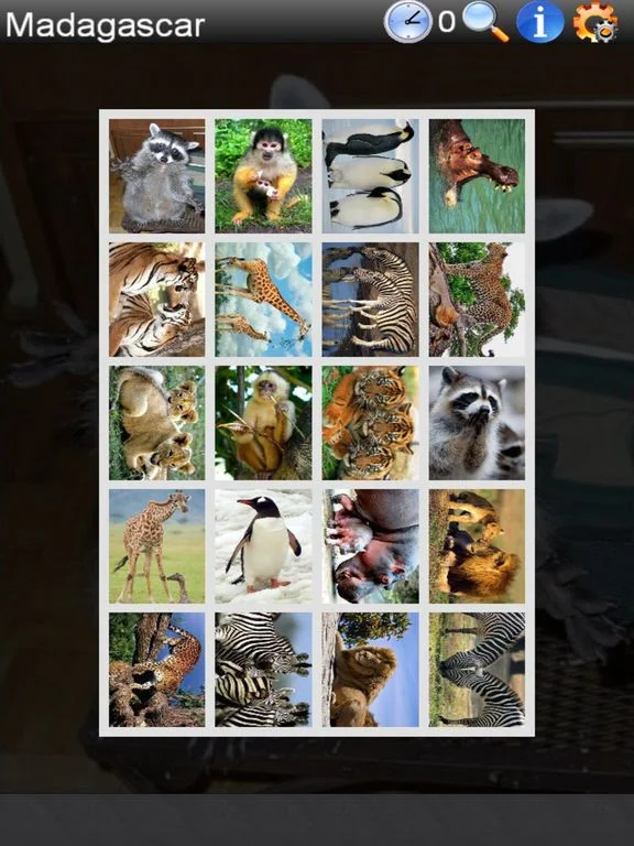 Real Madagascar Real Madagascar