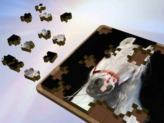 Super Jigsaws Horses Super Jigsaws Horses