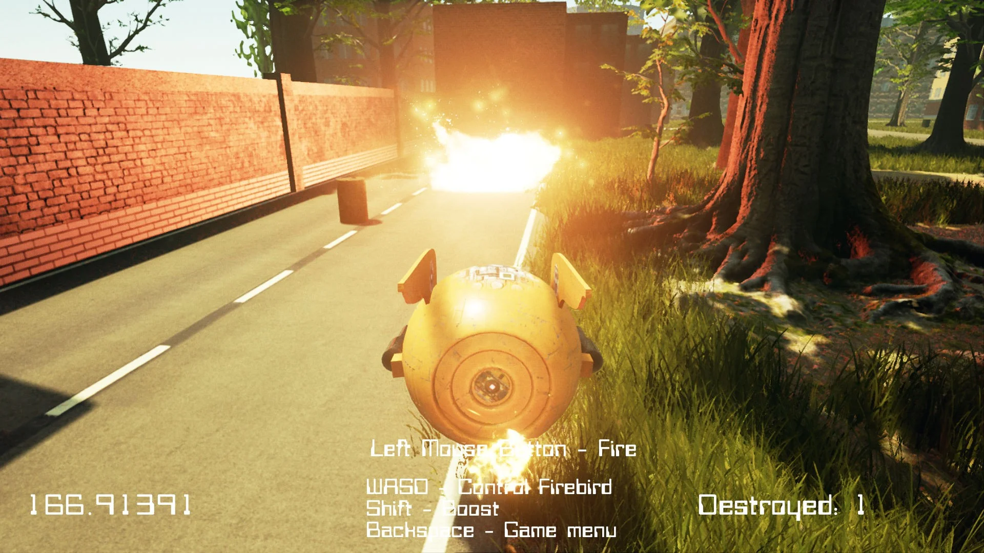 FreeFly Burning FreeFly Burning