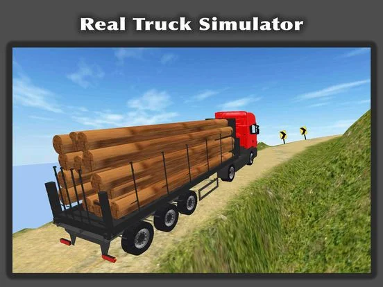 Truck Driver Cargo 3D Truck Driver Cargo 3D