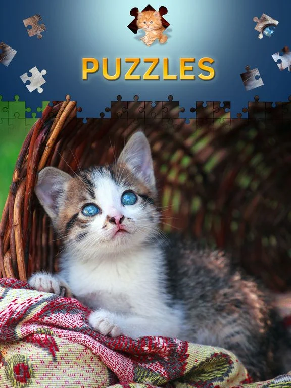 Cats Jigsaw Puzzles 2017