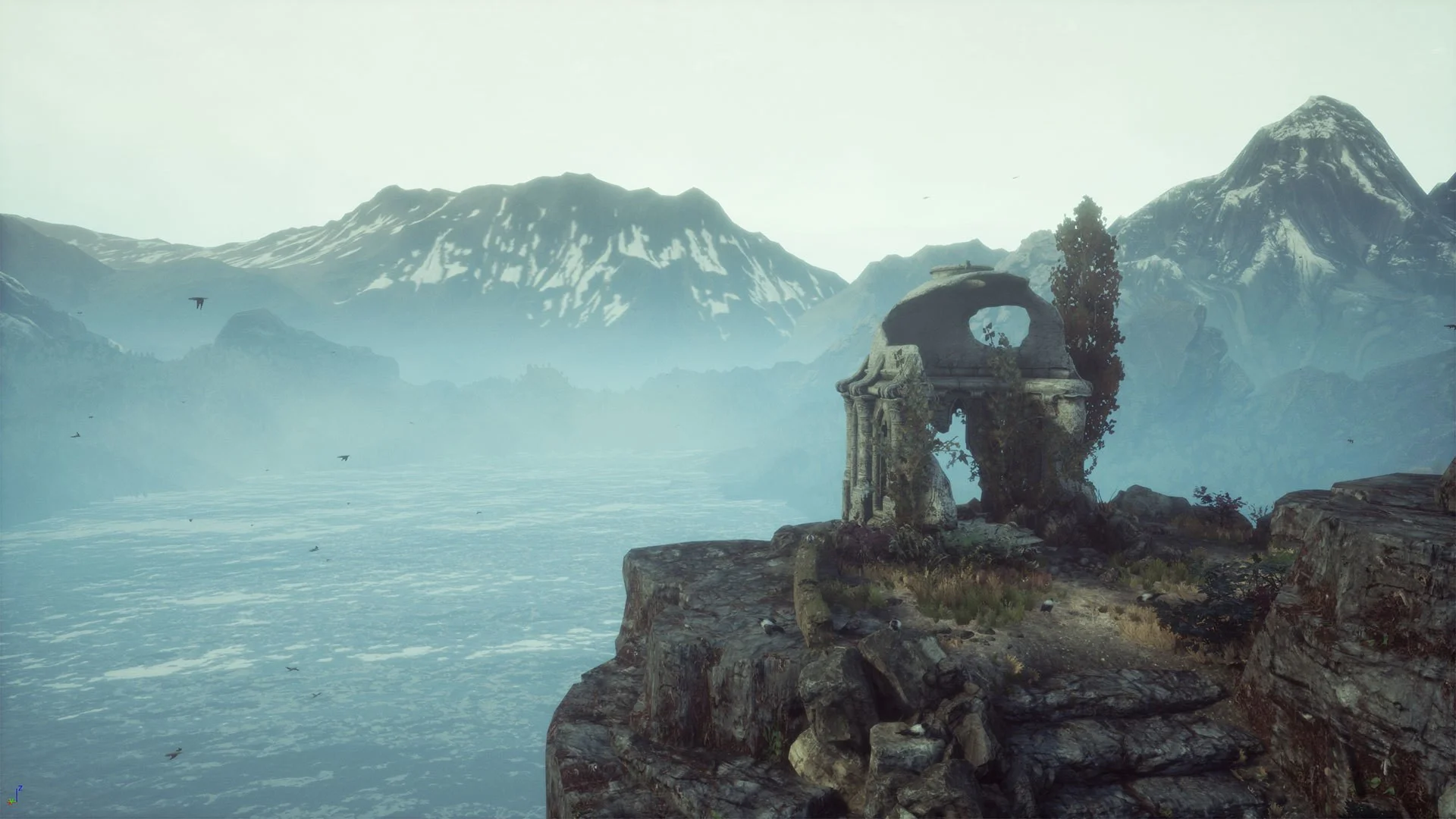 The Dead Tree of Ranchiuna