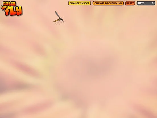 Catch the Fly Cat Game