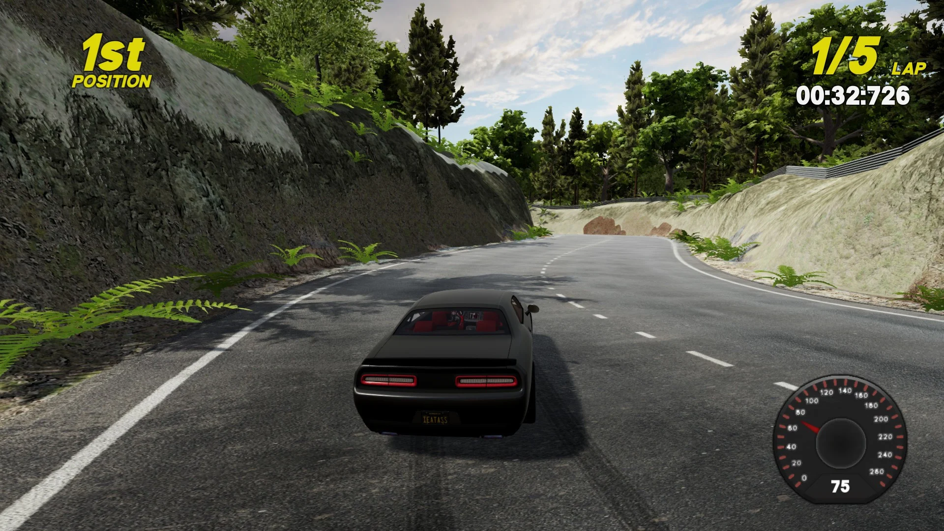 It's A Racing Game It's A Racing Game