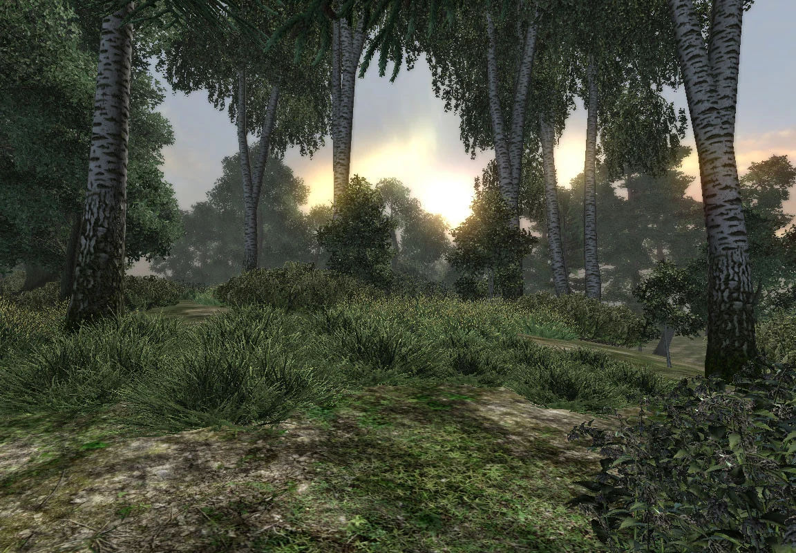 The Tales of Walenir The Tales of Walenir