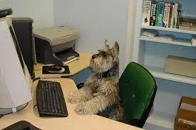 Saved by the Bark (itch) Saved by the Bark (itch)
