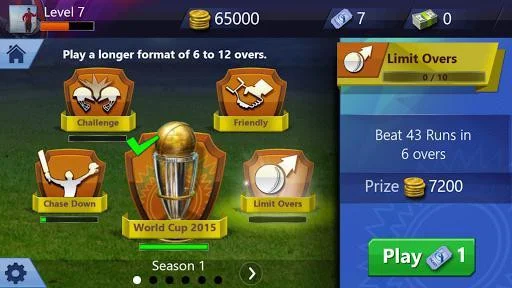 Smash Cricket Smash Cricket