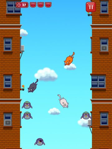 Cats vs Birds Cats vs Birds