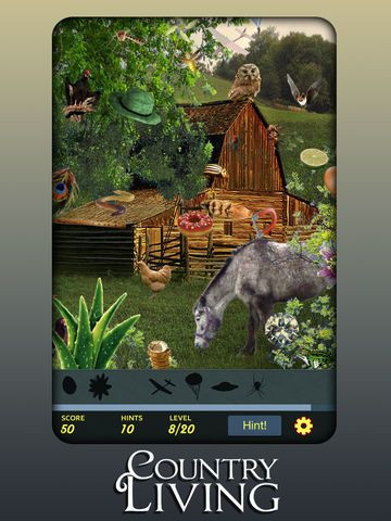 Hidden Object - Country Living