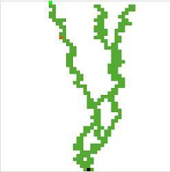Cavern & Cobold (itch) Cavern & Cobold (itch)