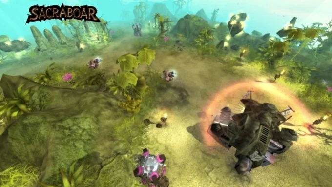 Sacraboar Sacraboar
