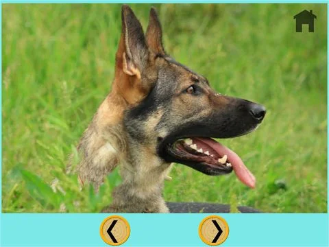 beautiful dogs for all kids - free game beautiful dogs for all kids - free game