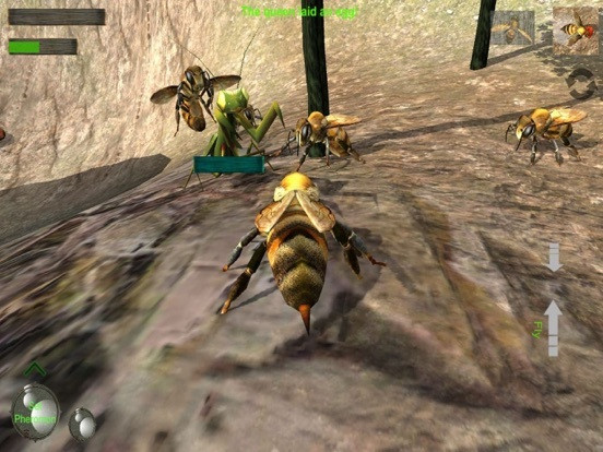 Bee Nest Simulator Full Bee Nest Simulator Full