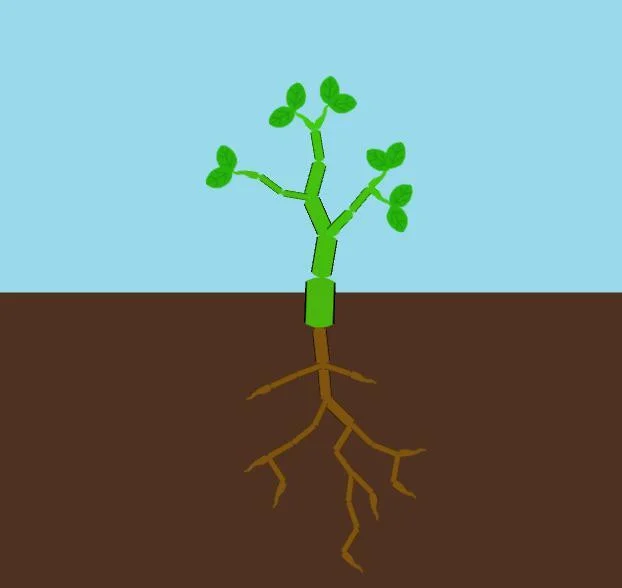 Grow (itch) (Japes) Grow (itch) (Japes)
