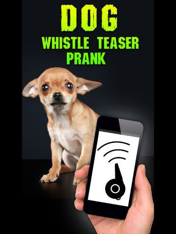 Dog Whistle Teaser Prank