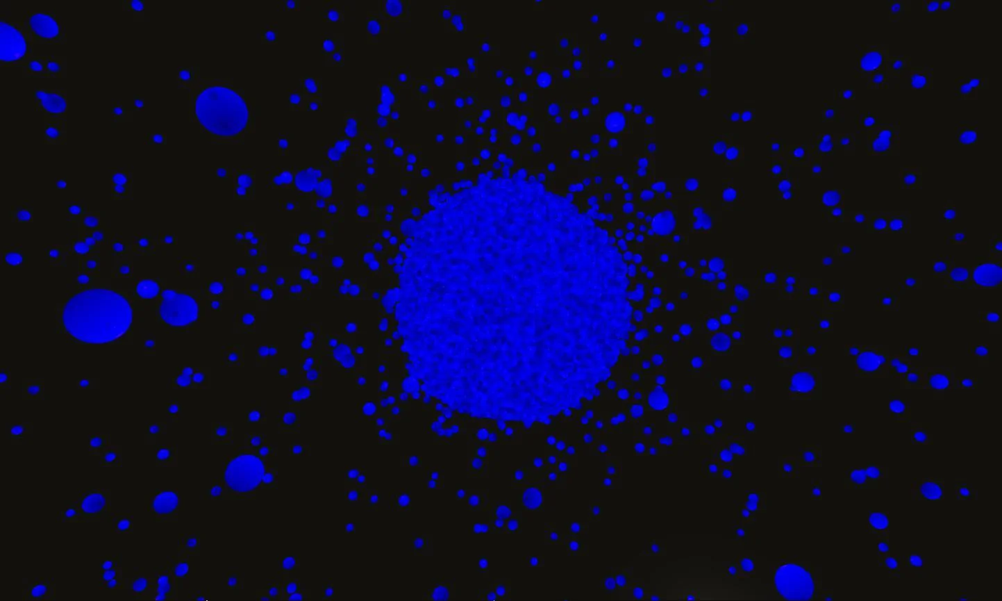 Space Anomalies! (itch) Space Anomalies! (itch)