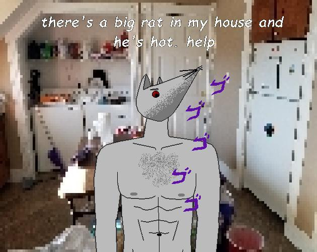 there's a big rat in my house and he's hot. help (itch) there's a big rat in my house and he's hot. help (itch)