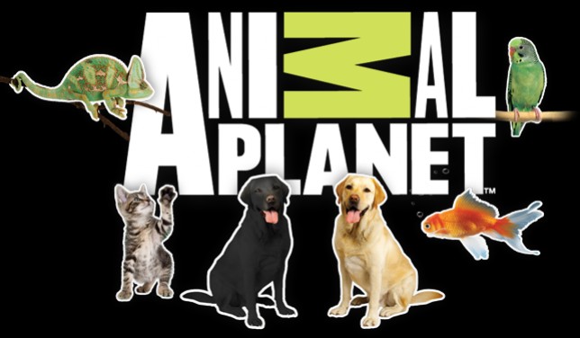 Animal Planet Animal Planet