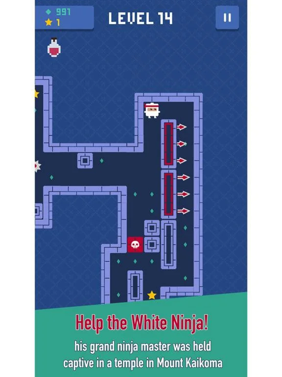 Ninja Temple
