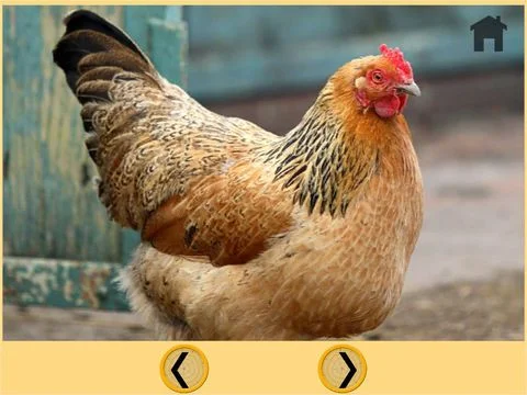 farm animals and games for kids - free game farm animals and games for kids - free game