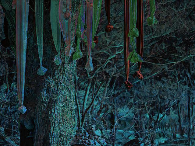 Sleepwalking Forest / Dream forest - Sound Novel (itch)