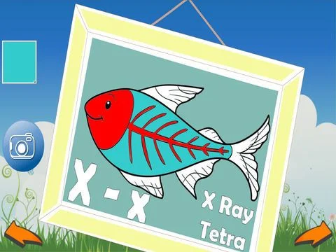 ABC Animal Coloring ABC Animal Coloring
