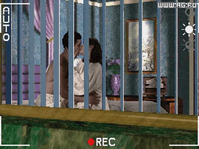 Voyeur: Don't Get Caught Voyeur: Don't Get Caught
