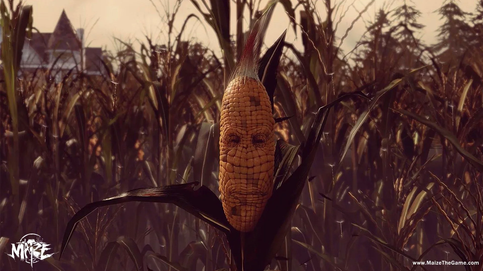 Maize Maize