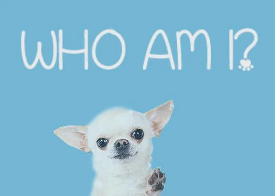 Who Am I? (Game-U Lynbrook) (itch)