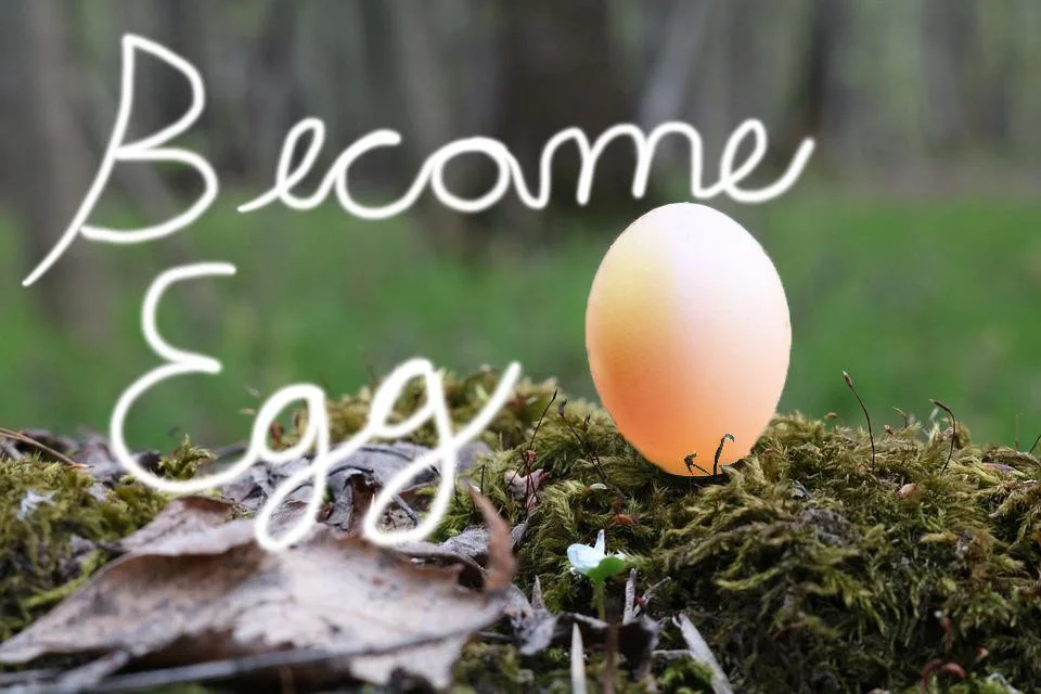 Become Egg (itch) Become Egg (itch)