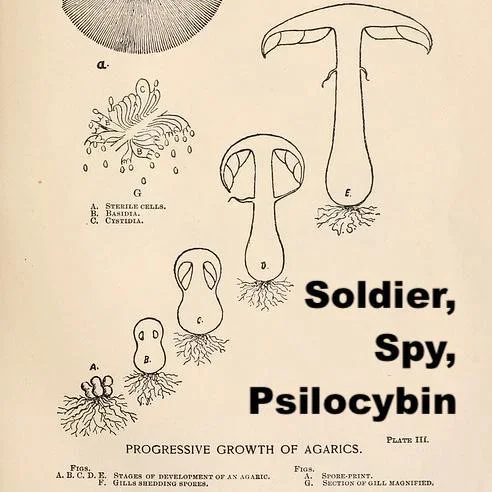 Soldier, Spy, Psilocybin (itch) Soldier, Spy, Psilocybin (itch)