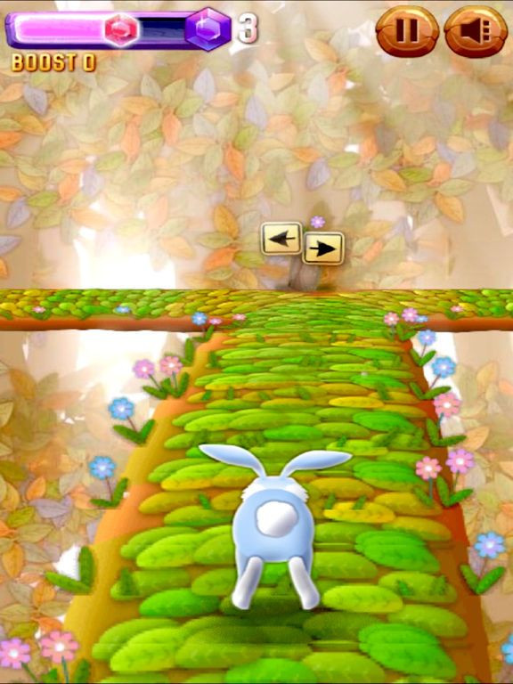 Pocket Rabbit Catch Escape Run Pocket Rabbit Catch Escape Run