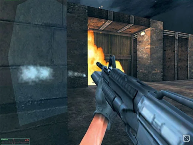 Navy seals