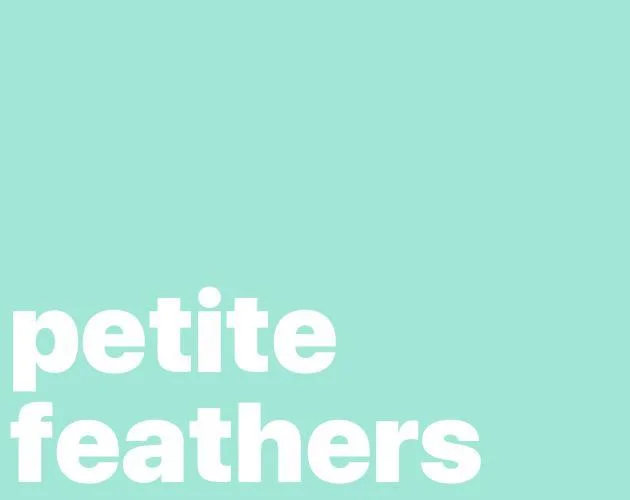 Новости о PetiteFeathers (itch)
