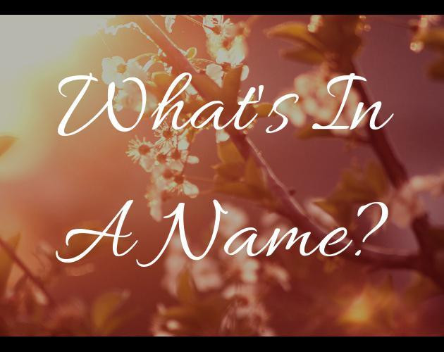 What's In A Name? (itch)