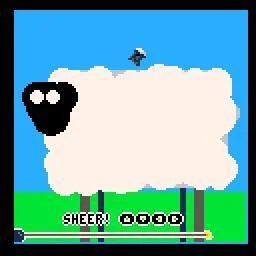 Sheer the sheep! (itch)